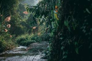 BIB: 
                            <button type="button" onclick="openModal(13716538)" class="btn btn-primary btn-sm float-right btn-popup" data-toggle="modal" data-target=".modal-high-quality">
                        <i class="fas fa-shopping-cart"></i> Add to Cart
                    </button>
                                            <button type="button" onclick="isThisMe(13716538, true)" class="btn btn-success btn-sm float-right btn-popup btn-isme hidden" data-toggle="tooltip" data-placement="bottom" title="นี่คือรูปของคุณใช่ไหม คลิกที่นี่เพื่อเอาเข้าอัลบั้ม">
                        <i class="fas fa-plus"></i> Add to album
                    </button>
                    <button type="button" onclick="isThisMe(13716538, false)" class="btn btn-warning btn-sm float-right btn-popup btn-isnotme hidden">
                        <i class="fas fa-ban"></i> Remove from album
                    </button>